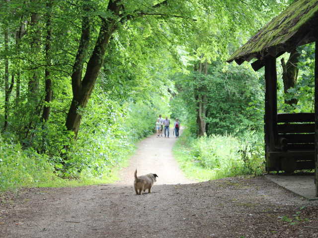 Wanderweg vorm Haus