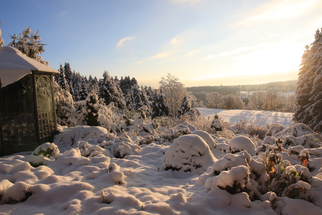 winterlicher Garten