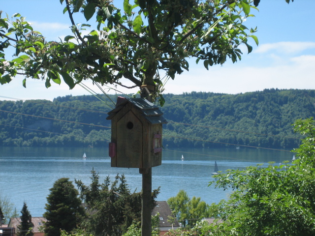 Vogelhaus mit Seeblick