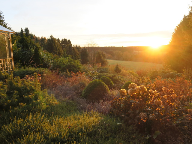 Garten in Morgensonne getaucht