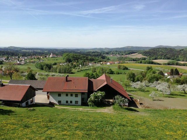 Ausblick vom Ferienhaus