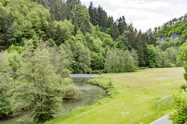 Brücke über die Wiesent (Foto:Jonas Listl)